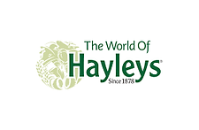 Hayleys