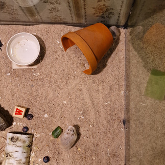 2 Roborovski dverghamster i ett sandbad