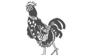 rooster 2_edited_edited_edited.jpg