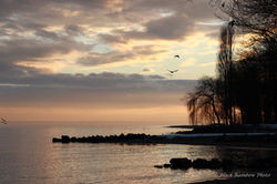 Vidy, Lausanne, 2013