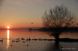 Vidy, Lausanne, 2013