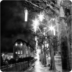 Avenue Benjamin-Constant