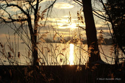 Vidy, Lausanne, 2013