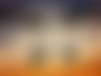 The Code of Conduct and the Violation of Constitutional Rights - Do Two Wrongs make a Right?