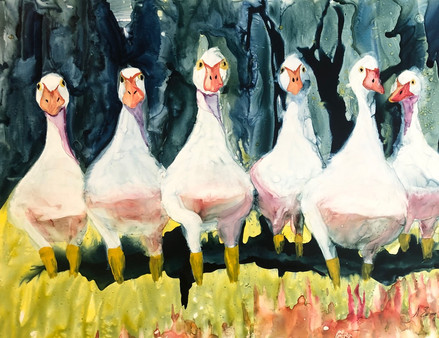 Anita Ewing
"A Giggle of Geese"
Watercolor on Yupo