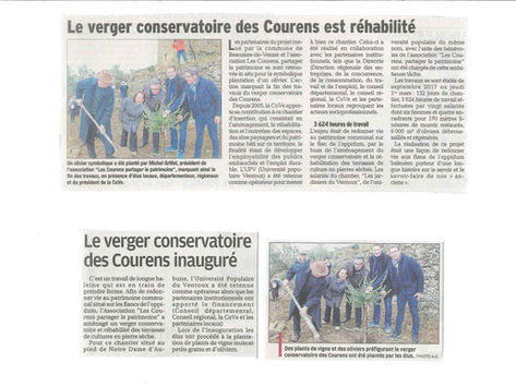 Le verger réhabilité