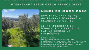 Démonstration Taille d'entretien Oliviers - Lundi 23 mars 8h45 - A Beaumes de Venise