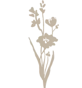 Logo export Sweet Stems-56.webp