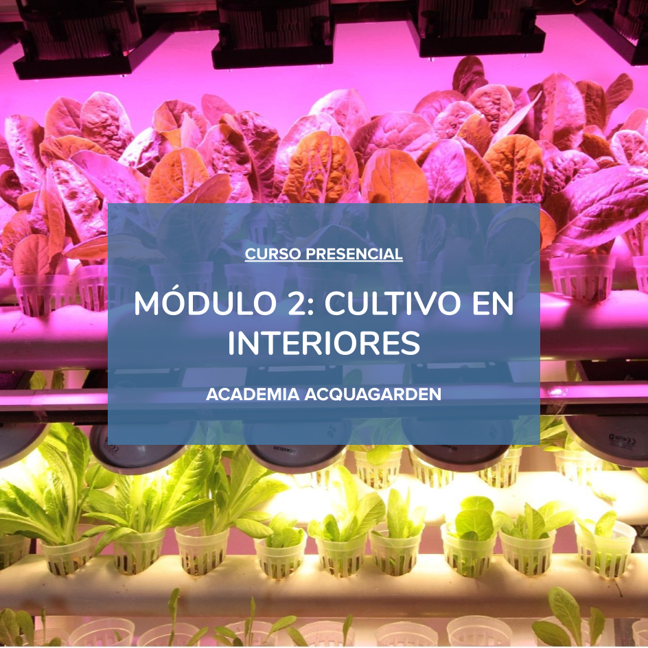 Módulo 2 - Cultivos en interiores - Presencial