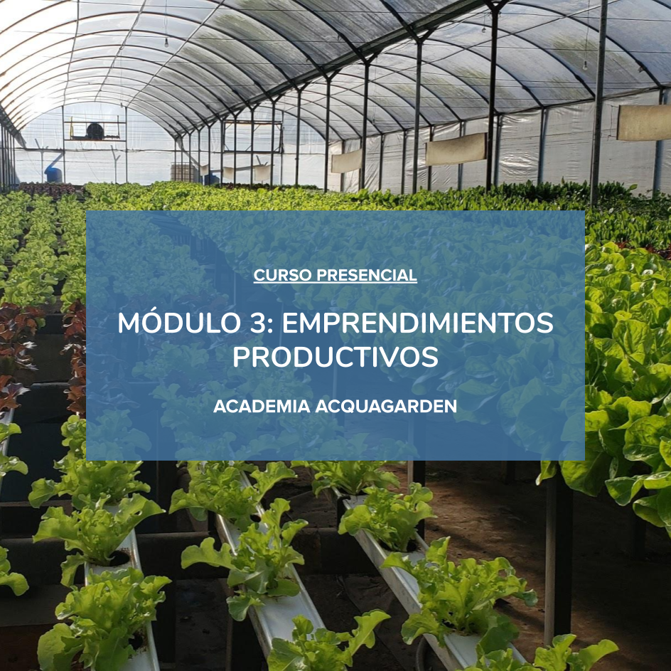 Módulo 3 - Emprendimientos Productivos - Presencial