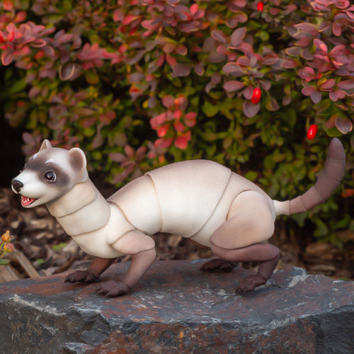 BJD Ferret in natura pose