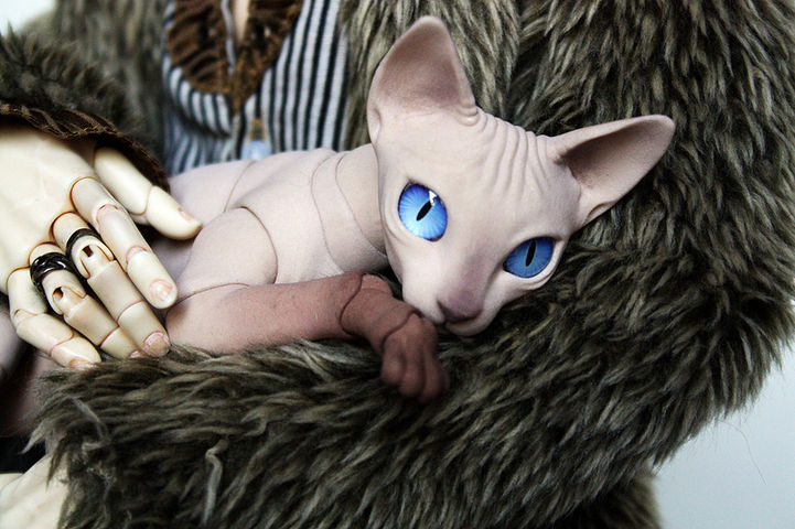 Customer photo of a realistic Sphynx BJD cat doll by Eve Studio Dolls resting on fur.