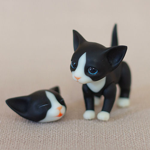 Thumbnail: Kitty Doll White Nose, White Paws Black