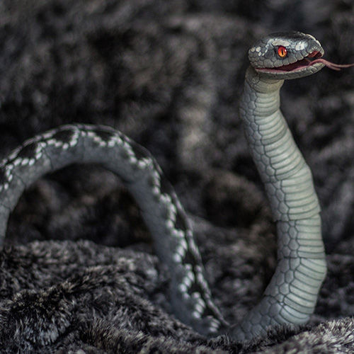 bjd snake