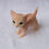 Thumbnail: Kitty Doll Beige Tabby