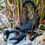 Thumbnail: BJD Scorpio doll in nature