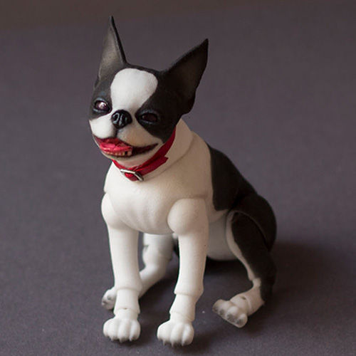 Thumbnail: BJD Boston Terrier sits and smiles