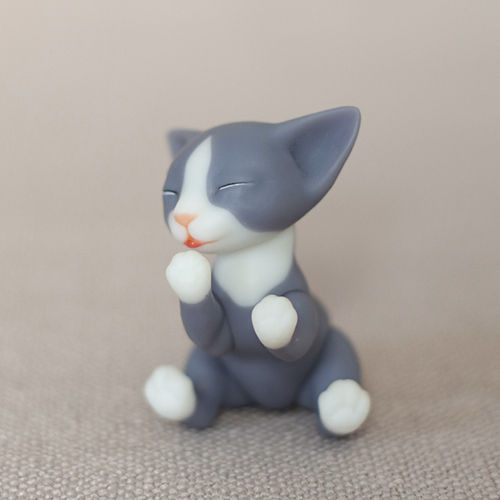Thumbnail: Kitty Doll White Nose, White Paws