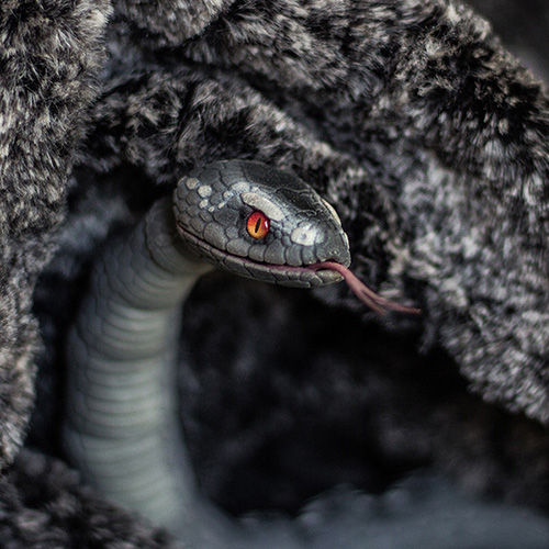 Thumbnail: bjd snake portrait