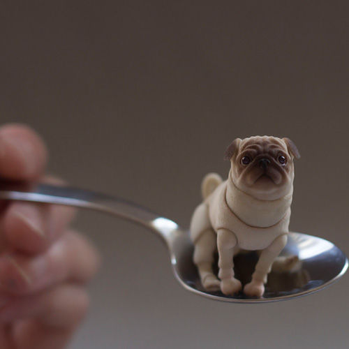 Thumbnail: Jointed Pug Tiny