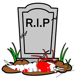 Untitled_Artwork.png