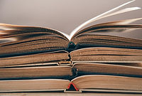 Screenshot 2026-02-16 122548.jpg