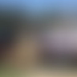 Huixquilucan brilla a nivel internacional con más de 20 mil asistentes en el Gran Concurso de Elegancia