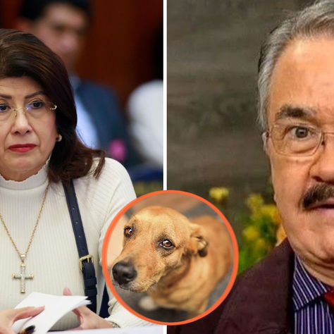 "¿Y Mariela Gutiérrez?": El Costeño reclama que no haya consecuencias por el sacrificio de más de 10 mil perros.