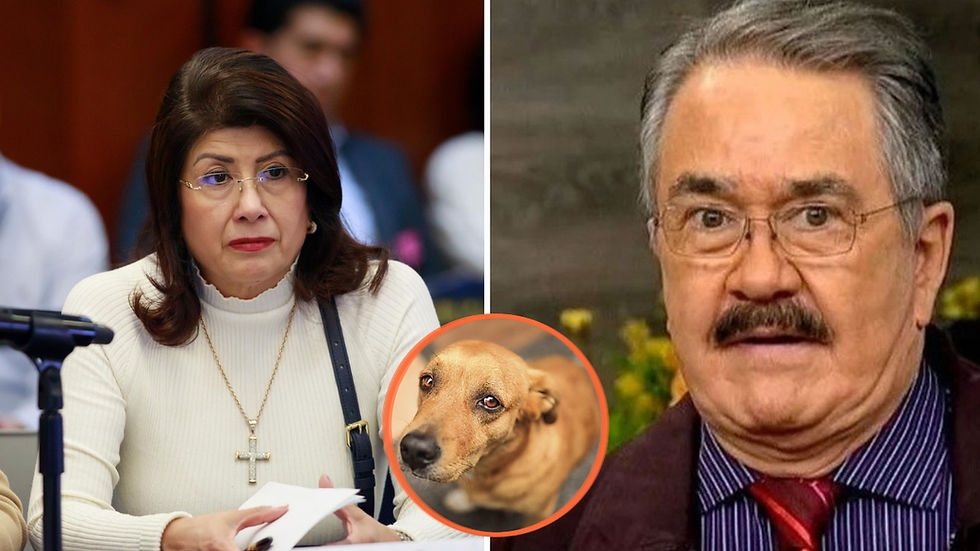 "¿Y Mariela Gutiérrez?": El Costeño reclama que no haya consecuencias por el sacrificio de más de 10 mil perros.