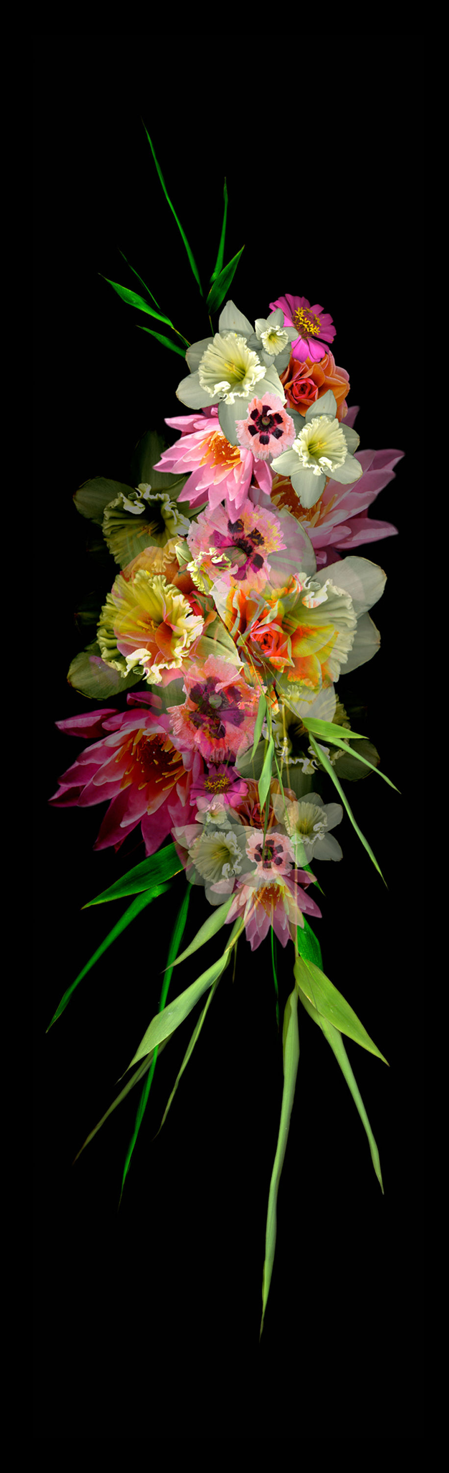 Garlands (Spray)