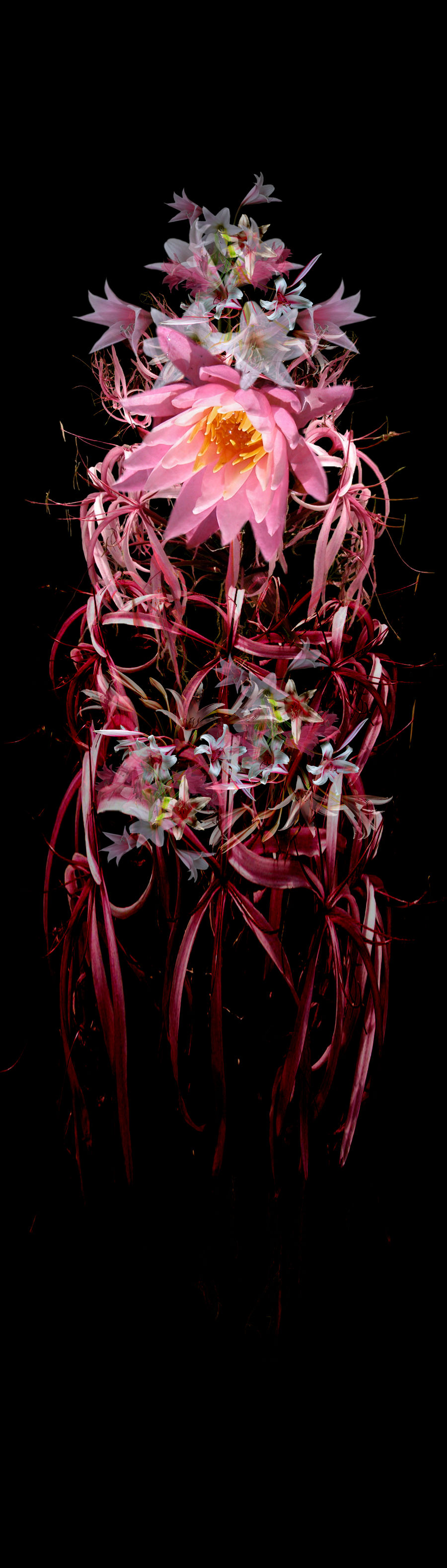 Garlands (Waterlily)