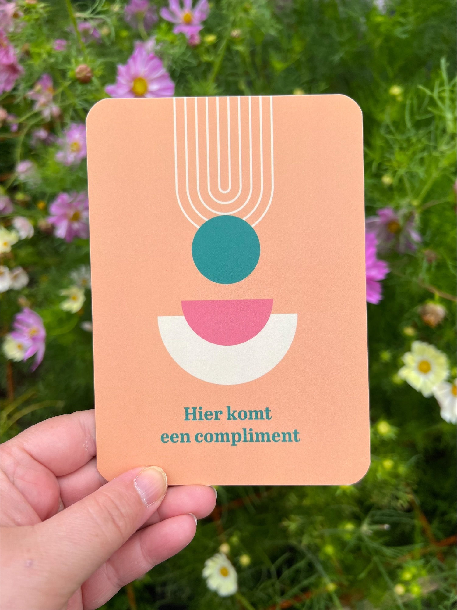 Hier komt een compliment