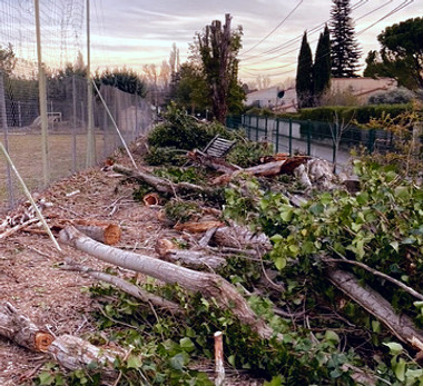 Élagage & Travaux Forestiers Vaucluse