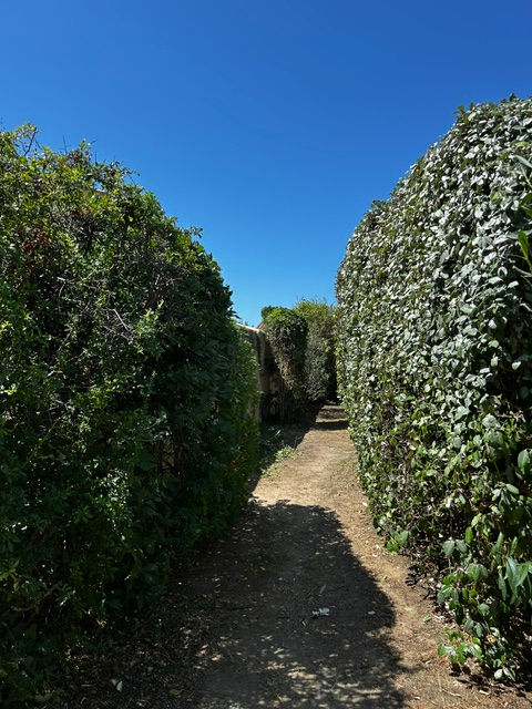 Réalisation Aubanel Paysage paysagiste à Caromb dans le Vaucluse : débroussaillage, élagage, entretien de jardin et aménagement extérieur