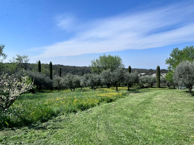 Réalisation Aubanel Paysage paysagiste à Caromb dans le Vaucluse : débroussaillage, élagage, entretien de jardin et aménagement extérieur