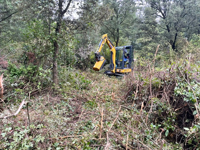 Réalisation Aubanel Paysage paysagiste à Caromb dans le Vaucluse : débroussaillage, élagage, entretien de jardin et aménagement extérieur