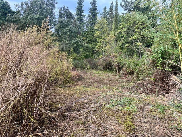 Réalisation Aubanel Paysage paysagiste à Caromb dans le Vaucluse : débroussaillage, élagage, entretien de jardin et aménagement extérieur