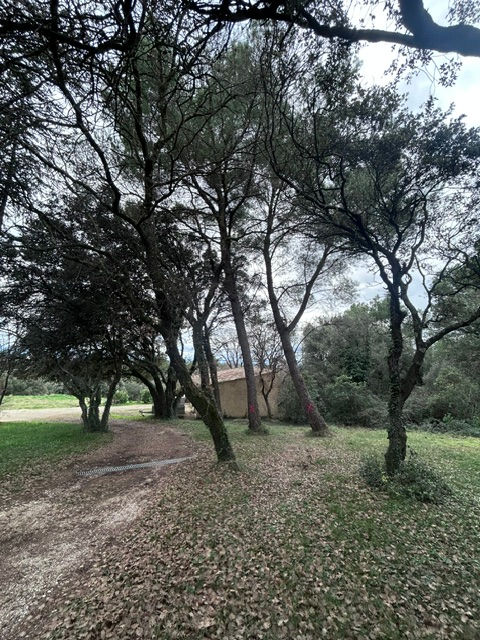Réalisation Aubanel Paysage paysagiste à Caromb dans le Vaucluse : débroussaillage, élagage, entretien de jardin et aménagement extérieur
