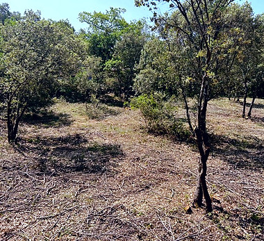 Prévention Incendie

& Entretien de Terrains Vaucluse