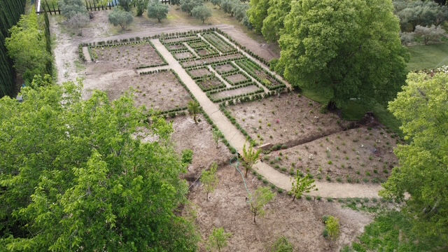 Réalisation Aubanel Paysage paysagiste à Caromb dans le Vaucluse : débroussaillage, élagage, entretien de jardin et aménagement extérieur