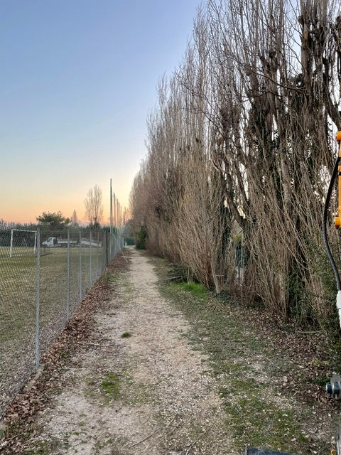 Abattage d’arbre vaucluse