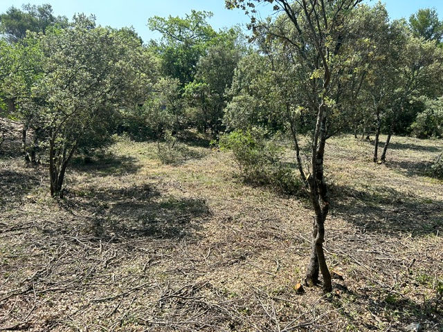 Réalisation Aubanel Paysage paysagiste à Caromb dans le Vaucluse : débroussaillage, élagage, entretien de jardin et aménagement extérieur