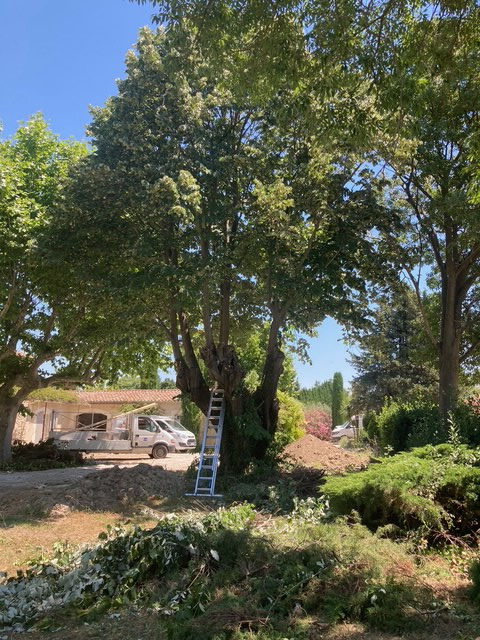 Réalisation Aubanel Paysage paysagiste à Caromb dans le Vaucluse : débroussaillage, élagage, entretien de jardin et aménagement extérieur