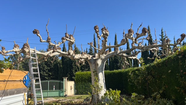 Réalisation Aubanel Paysage paysagiste à Caromb dans le Vaucluse : débroussaillage, élagage, entretien de jardin et aménagement extérieur