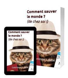sauver le monde Laurence Labbé