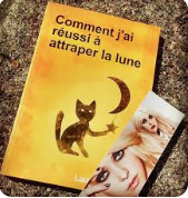 attraper la lune Laurence labbé