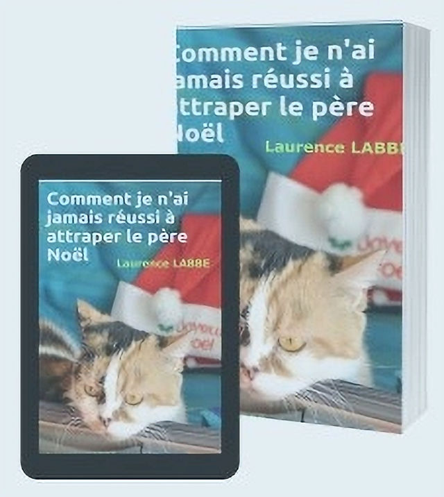 Le père Noël roman humoristique de Laurence Labbé
