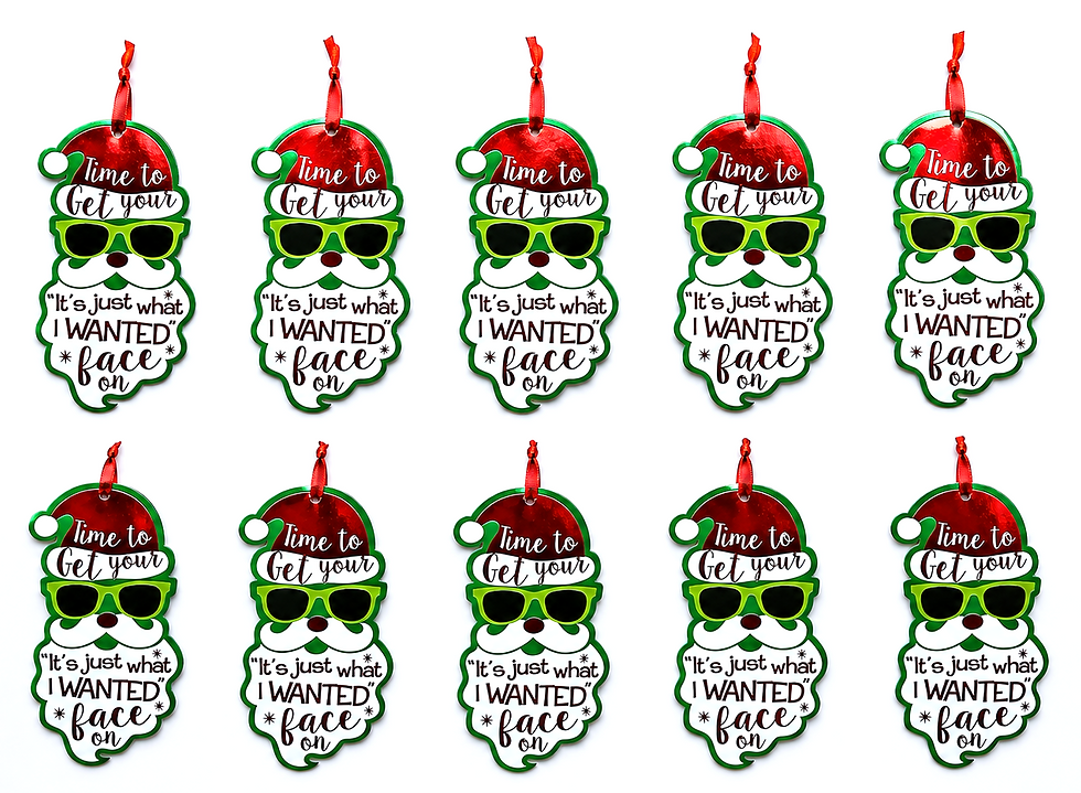 10 ct 7" Christmas Gift Tags Funny Metallic Santa "It's Just What I Wanted" Face