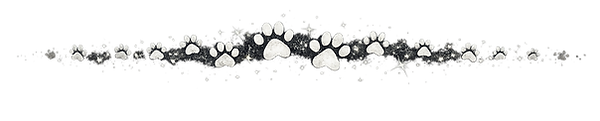 Pets Before People Divider Line