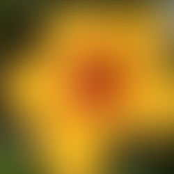 Don’t Let the Roadblock Stop You